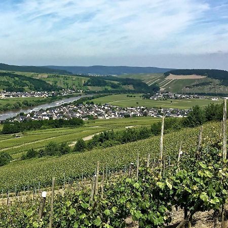 Gaestehaus Hoffmann Farschweiler Dış mekan fotoğraf