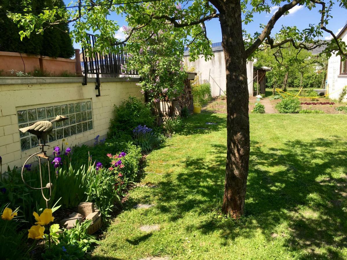 Gaestehaus Hoffmann Farschweiler Dış mekan fotoğraf