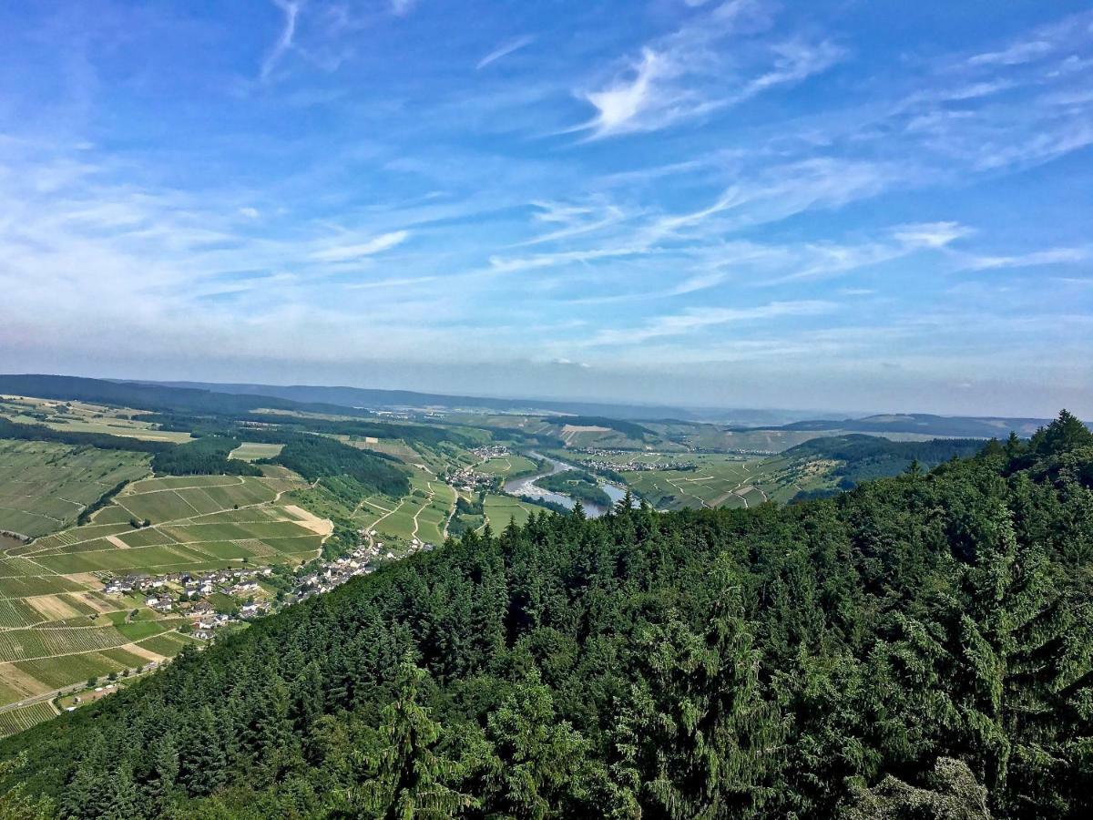 Gastehaus Hoffmann Bed & Breakfast Farschweiler Dış mekan fotoğraf